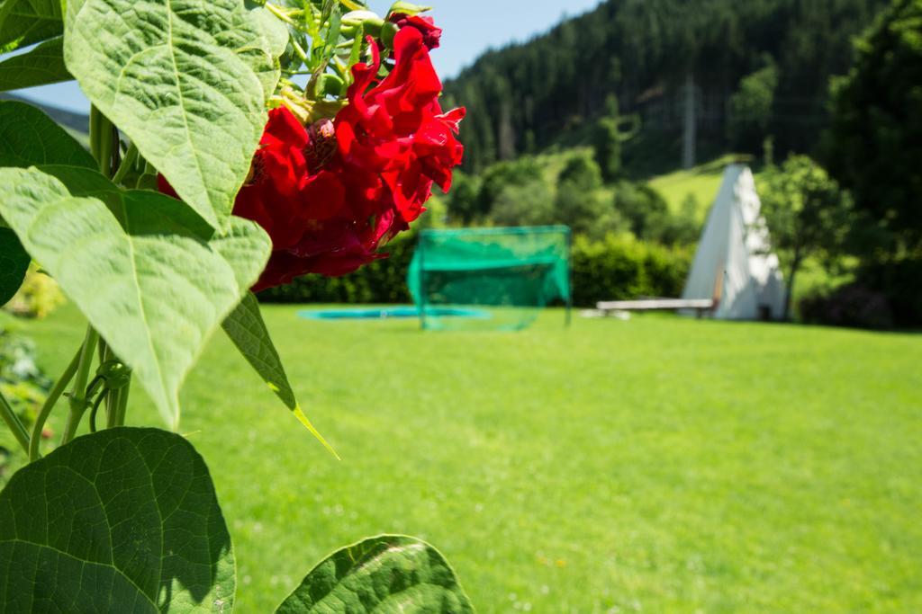 Aparthotel Steger Wagrain Exteriér fotografie